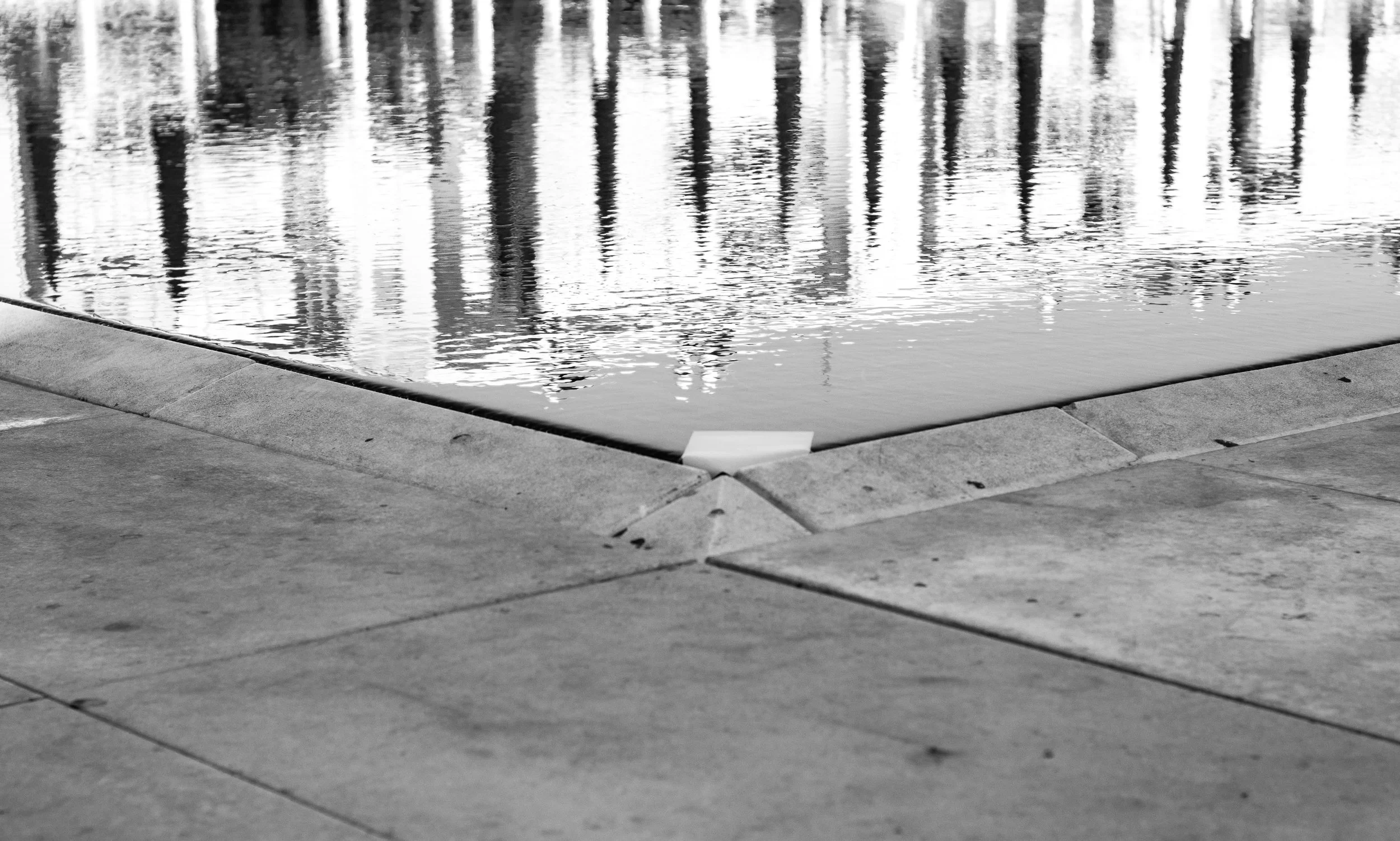 L1000932.jpg