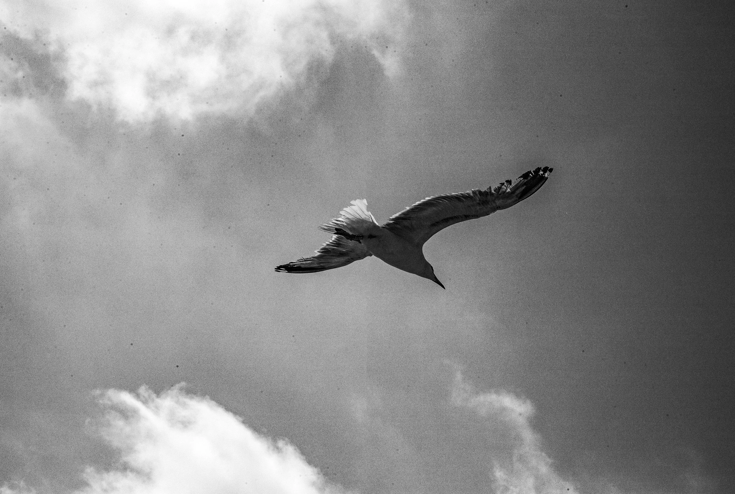 L1000269.jpg