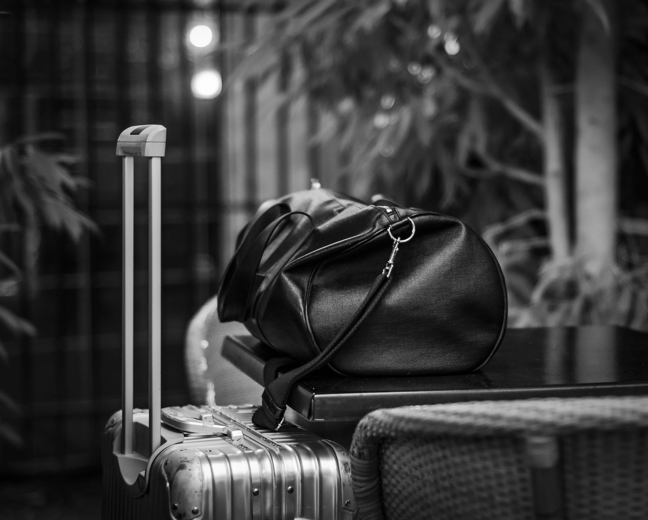 L1710029.jpg