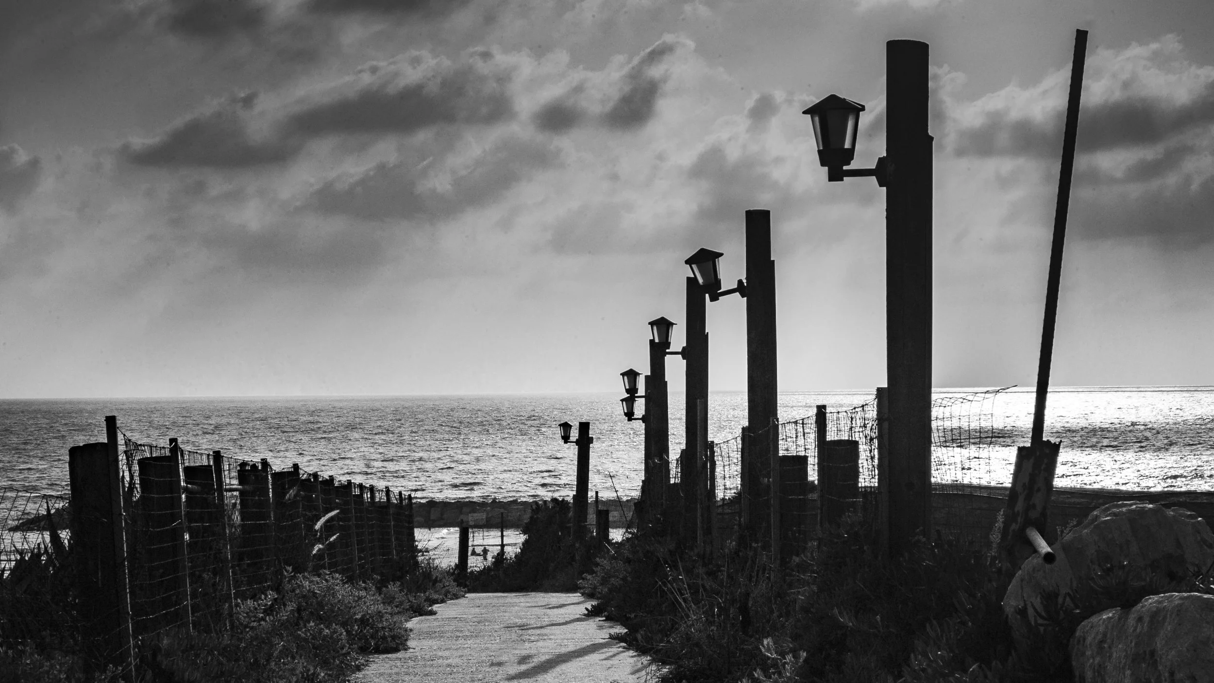 L1001596.jpg