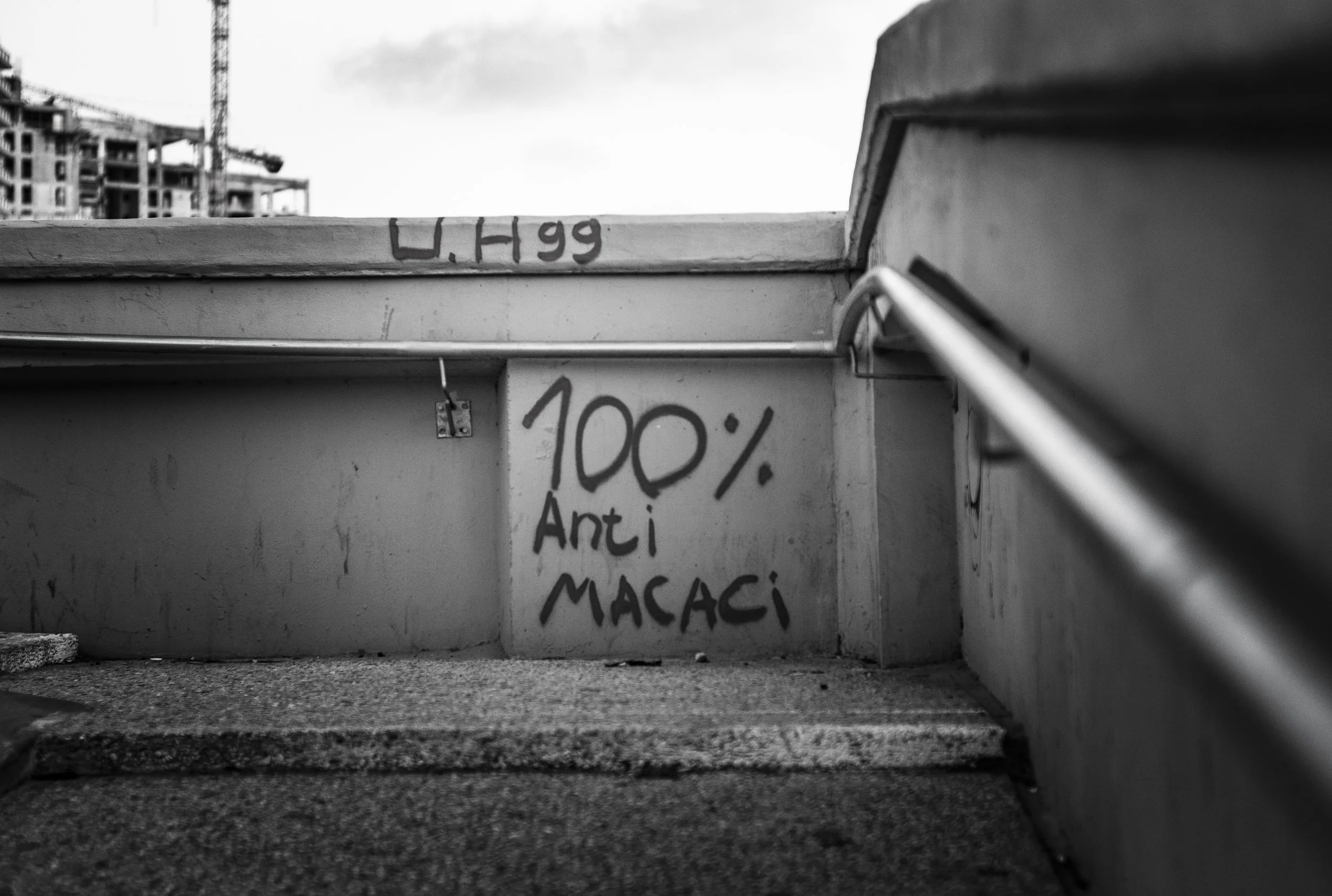 L1001662.jpg
