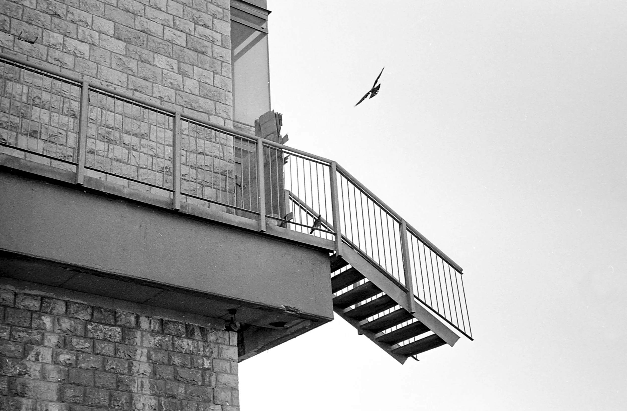 Stairways to nowhere.jpg